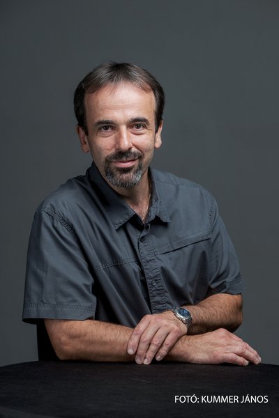 Bolesza István